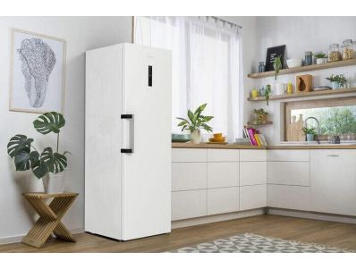 Monoklimatická chladnička Gorenje R619EAW6 + 5 let PLNÉ záruky (17)